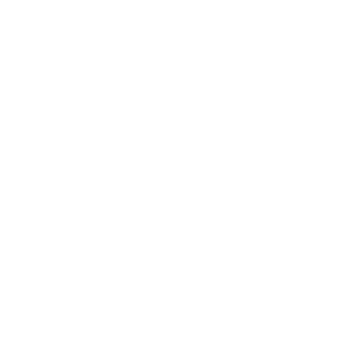 100% Icon
