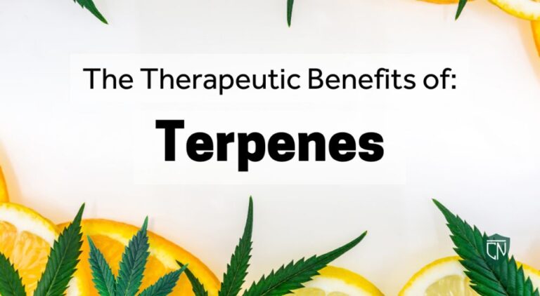 Understanding the Therapeutic Uses of Terpenes